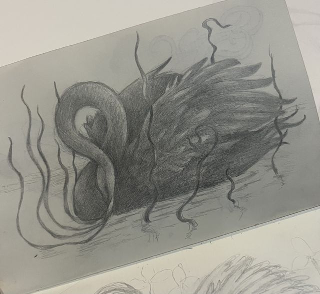 Graphite sketch of a black swan among reeds.