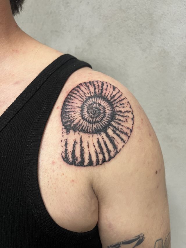 Dotwork ammonite fossil shell on the point of a shoulder.