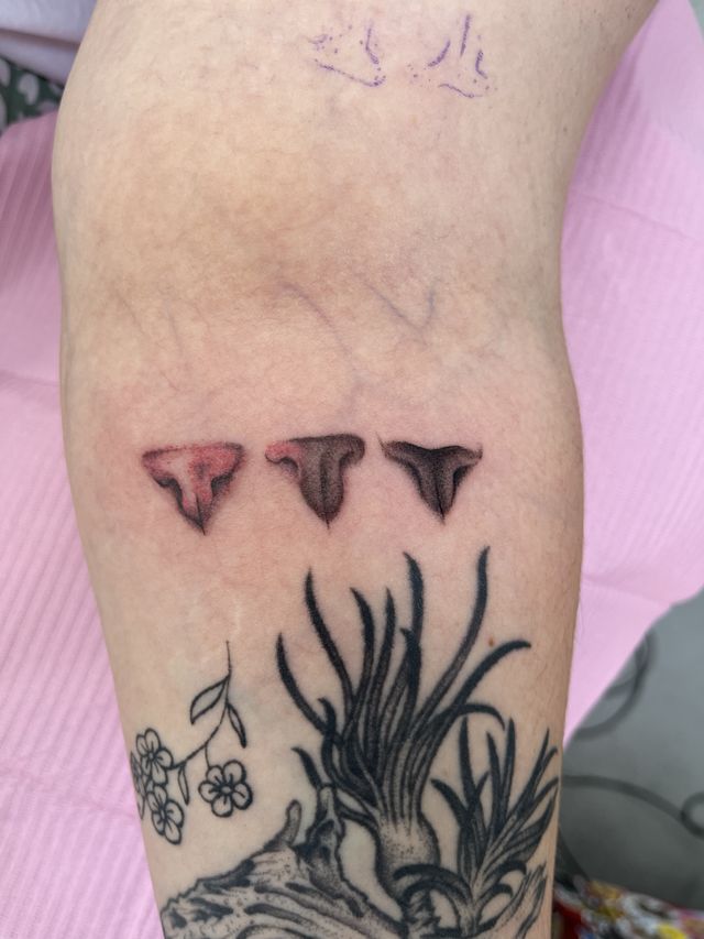 Three small red shark teeth above a fine line plant, on an inner arm.