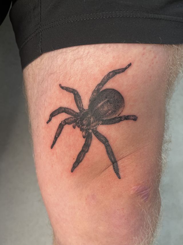 Black and grey tarantula on a thigh.
